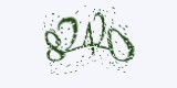 CAPTCHA: введите символы, которые вы видите на картинке
