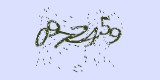 CAPTCHA: введите символы, которые вы видите на картинке