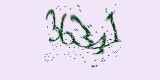 CAPTCHA: введите символы, которые вы видите на картинке