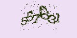 CAPTCHA: введите символы, которые вы видите на картинке