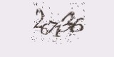 CAPTCHA: введите символы, которые вы видите на картинке