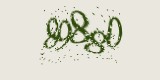 CAPTCHA: введите символы, которые вы видите на картинке