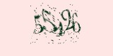 CAPTCHA: введите символы, которые вы видите на картинке