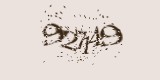 CAPTCHA: введите символы, которые вы видите на картинке
