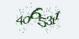 CAPTCHA: введите символы, которые вы видите на картинке