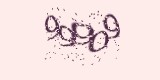 CAPTCHA: введите символы, которые вы видите на картинке