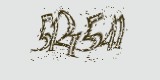 CAPTCHA: введите символы, которые вы видите на картинке