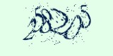 CAPTCHA: введите символы, которые вы видите на картинке