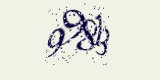 CAPTCHA: введите символы, которые вы видите на картинке