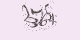 CAPTCHA: введите символы, которые вы видите на картинке