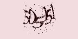 CAPTCHA: введите символы, которые вы видите на картинке