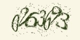 CAPTCHA: введите символы, которые вы видите на картинке