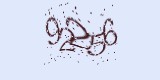 CAPTCHA: введите символы, которые вы видите на картинке