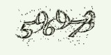 CAPTCHA: введите символы, которые вы видите на картинке