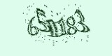 CAPTCHA: введите символы, которые вы видите на картинке