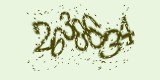 CAPTCHA: введите символы, которые вы видите на картинке