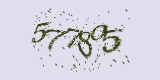 CAPTCHA: введите символы, которые вы видите на картинке