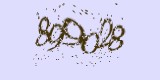 CAPTCHA: введите символы, которые вы видите на картинке