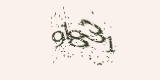 CAPTCHA: введите символы, которые вы видите на картинке