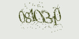 CAPTCHA: введите символы, которые вы видите на картинке