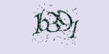CAPTCHA: введите символы, которые вы видите на картинке