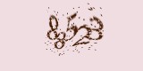 CAPTCHA: введите символы, которые вы видите на картинке