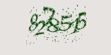 CAPTCHA: введите символы, которые вы видите на картинке