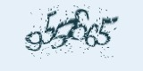 CAPTCHA: введите символы, которые вы видите на картинке
