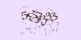 CAPTCHA: введите символы, которые вы видите на картинке
