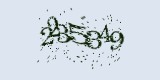 CAPTCHA: введите символы, которые вы видите на картинке