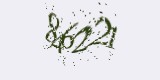 CAPTCHA: введите символы, которые вы видите на картинке