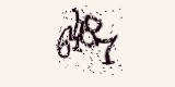 CAPTCHA: введите символы, которые вы видите на картинке