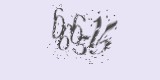 CAPTCHA: введите символы, которые вы видите на картинке