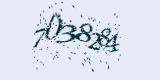 CAPTCHA: введите символы, которые вы видите на картинке