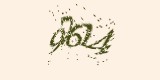 CAPTCHA: введите символы, которые вы видите на картинке