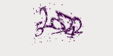 CAPTCHA: введите символы, которые вы видите на картинке