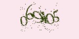 CAPTCHA: введите символы, которые вы видите на картинке