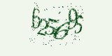 CAPTCHA: введите символы, которые вы видите на картинке