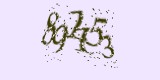 CAPTCHA: введите символы, которые вы видите на картинке