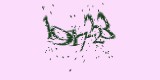 CAPTCHA: введите символы, которые вы видите на картинке