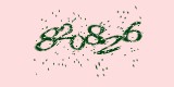 CAPTCHA: введите символы, которые вы видите на картинке