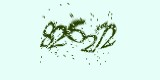 CAPTCHA: введите символы, которые вы видите на картинке