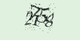 CAPTCHA: введите символы, которые вы видите на картинке