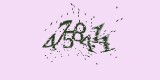 CAPTCHA: введите символы, которые вы видите на картинке