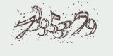 CAPTCHA: введите символы, которые вы видите на картинке