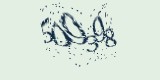 CAPTCHA: введите символы, которые вы видите на картинке