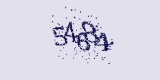 CAPTCHA: введите символы, которые вы видите на картинке
