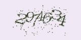 CAPTCHA: введите символы, которые вы видите на картинке