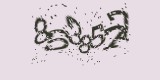 CAPTCHA: введите символы, которые вы видите на картинке
