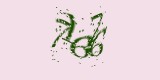 CAPTCHA: введите символы, которые вы видите на картинке